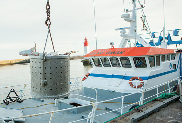 Retour du bateau de peche française Retour du bateau de peche française